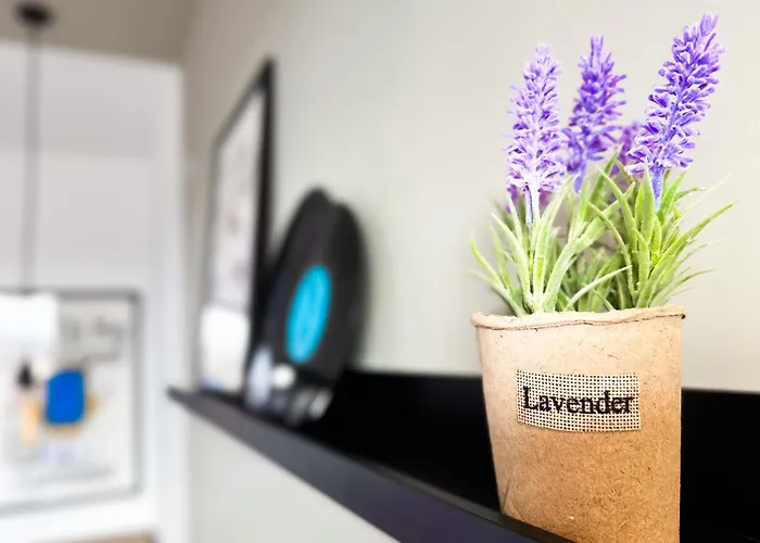 4 Bdr 2 Bth Netflix Panorama Views アパート