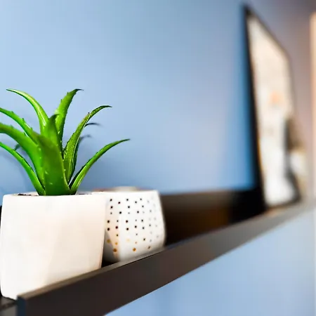 4 Bdr 2 Bth Netflix Panorama Views