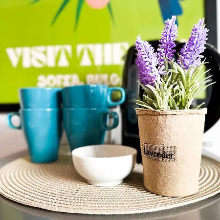 4 Bdr 2 Bth Netflix Panorama Views 公寓