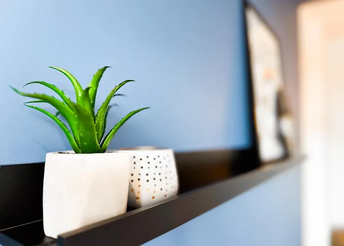 4 Bdr 2 Bth Netflix Panorama Views